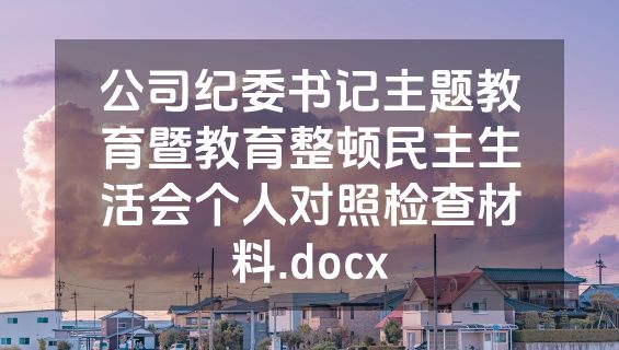 公司纪委书记主题教育暨教育整顿民主生活会个人对照检查材料.docx