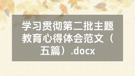 学习贯彻第二批主题教育心得体会范文（五篇）.docx