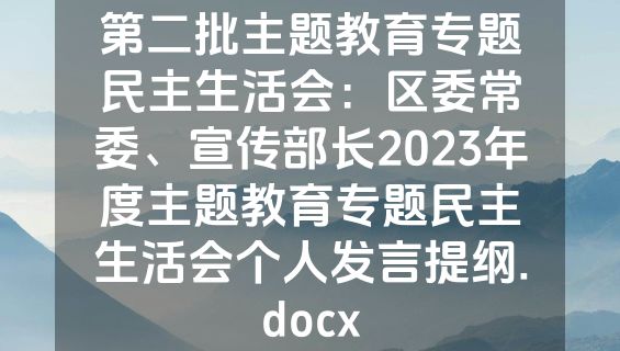 第二批主题教育专题民主生活会：区委常委、宣传部长2023年度主题教育专题民主生活会个人发言提纲.docx