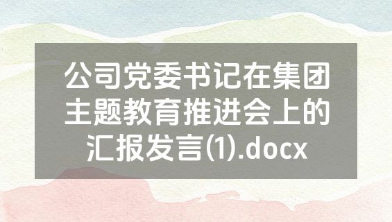 公司党委书记在集团主题教育推进会上的汇报发言(1).docx