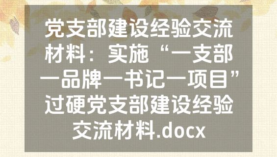 党支部建设经验交流材料：实施“一支部一品牌一书记一项目”过硬党支部建设经验交流材料.docx