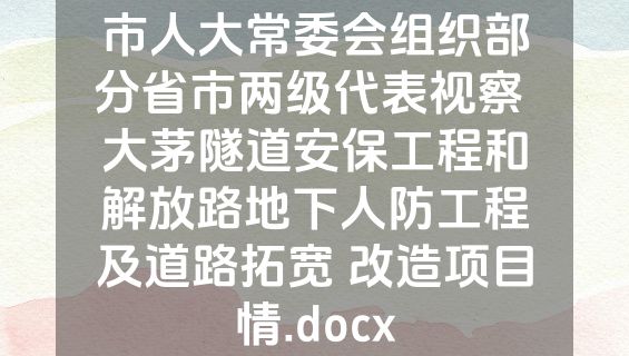 市人大常委会组织部分省市两级代表视察 大茅隧道安保工程和解放路地下人防工程及道路拓宽 改造项目情.docx