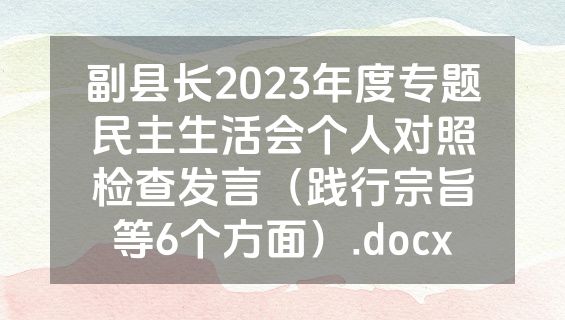 副县长2023年度专题民主生活会个人对照检查发言（践行宗旨等6个方面）.docx