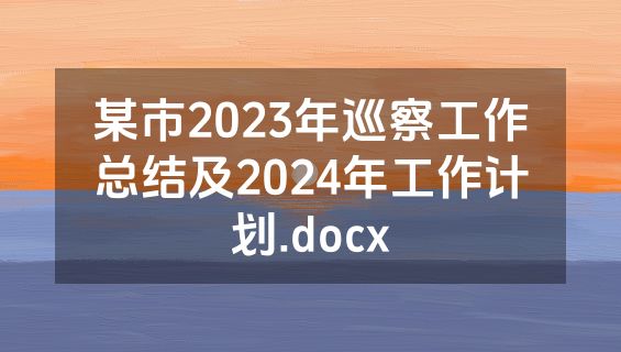 某市2023年巡察工作总结及2024年工作计划.docx