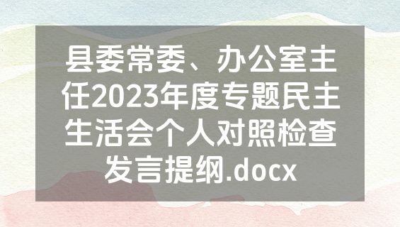 县委常委、办公室主任2023年度专题民主生活会个人对照检查发言提纲.docx