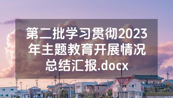 第二批学习贯彻2023年主题教育开展情况总结汇报.docx