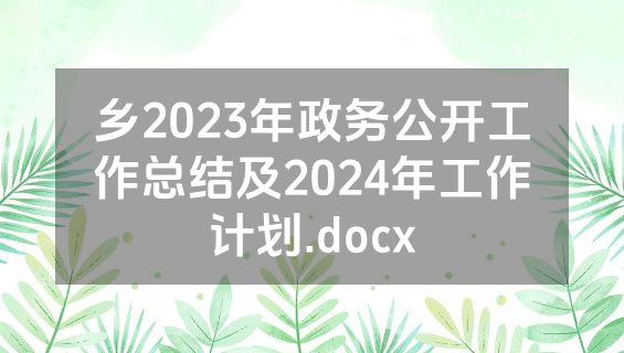 乡2023年政务公开工作总结及2024年工作计划.docx