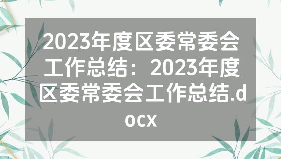 2023年度区委常委会工作总结：2023年度区委常委会工作总结.docx