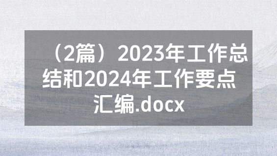 （2篇）2023年工作总结和2024年工作要点汇编.docx