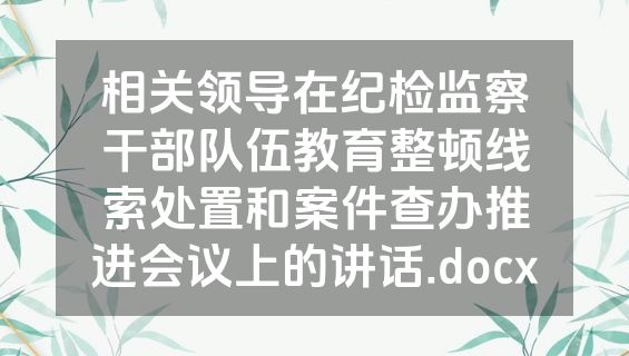 相关领导在纪检监察干部队伍教育整顿线索处置和案件查办推进会议上的讲话.docx