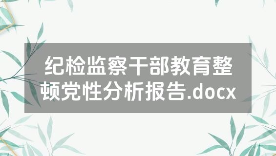 纪检监察干部教育整顿党性分析报告.docx
