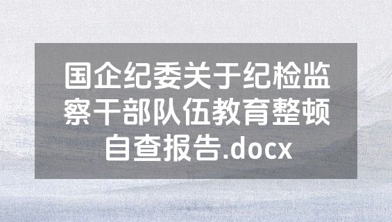 国企纪委关于纪检监察干部队伍教育整顿自查报告.docx