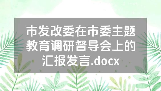 市发改委在市委主题教育调研督导会上的汇报发言.docx