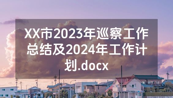 XX市2023年巡察工作总结及2024年工作计划.docx