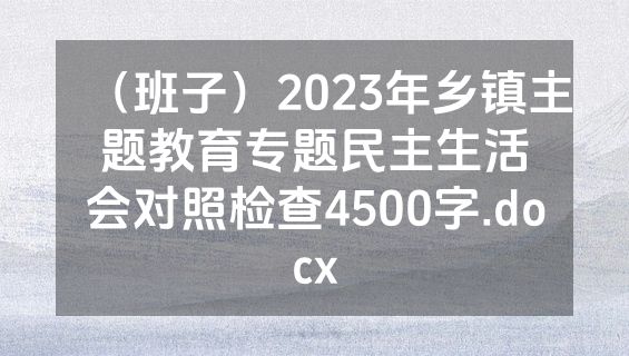 （班子）2023年乡镇主题教育专题民主生活会对照检查4500字.docx