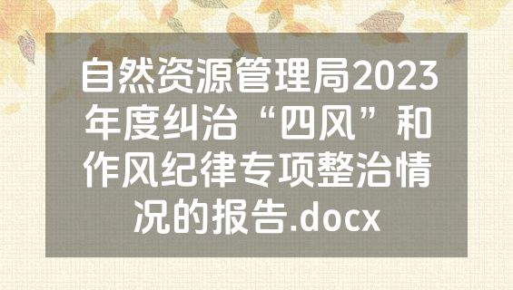 自然资源管理局2023年度纠治“四风”和作风纪律专项整治情况的报告.docx