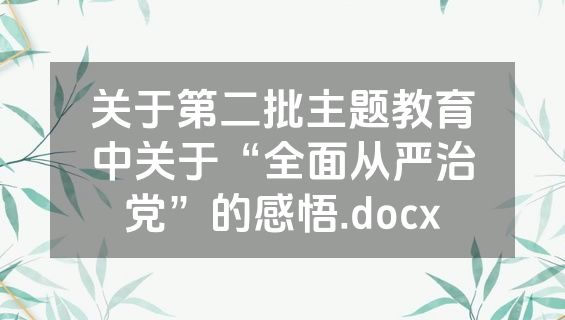 关于第二批主题教育中关于“全面从严治党”的感悟.docx