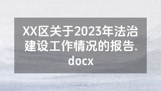 XX区关于2023年法治建设工作情况的报告.docx
