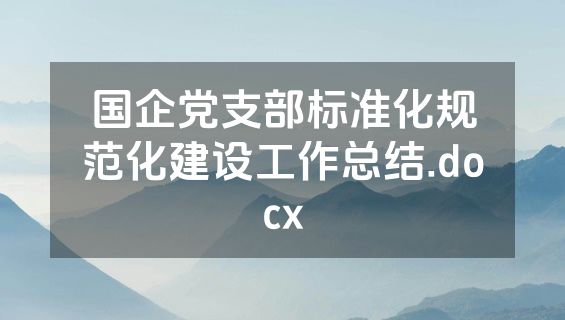国企党支部标准化规范化建设工作总结.docx