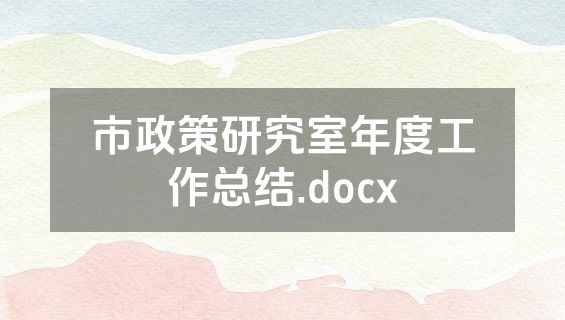市政策研究室年度工作总结.docx