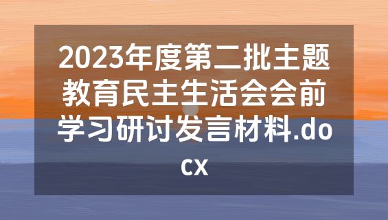 2023年度第二批主题教育民主生活会会前学习研讨发言材料.docx