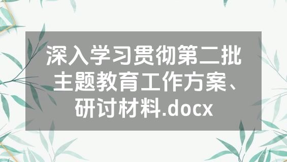 深入学习贯彻第二批主题教育工作方案、研讨材料.docx