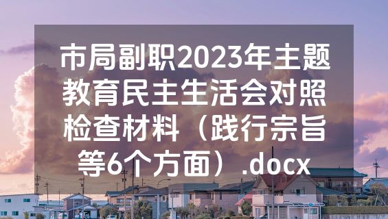 市局副职2023年主题教育民主生活会对照检查材料（践行宗旨等6个方面）.docx