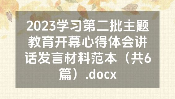 2023学习第二批主题教育开幕心得体会讲话发言材料范本（共6篇）.docx
