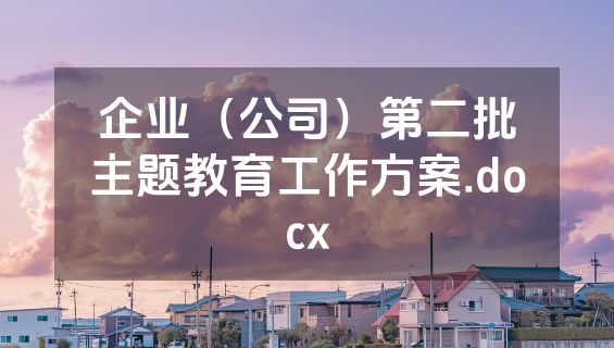 企业（公司）第二批主题教育工作方案.docx
