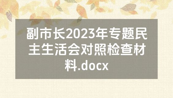 副市长2023年专题民主生活会对照检查材料.docx