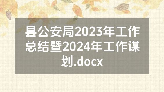 县公安局2023年工作总结暨2024年工作谋划.docx