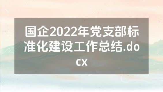 国企2022年党支部标准化建设工作总结.docx