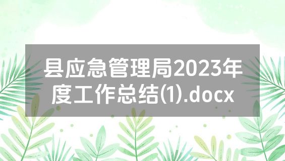 县应急管理局2023年度工作总结(1).docx