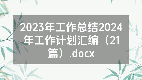 2023年工作总结2024年工作计划汇编（21篇）.docx