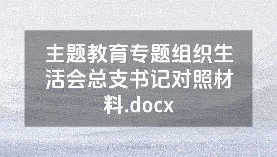 主题教育专题组织生活会总支书记对照材料.docx