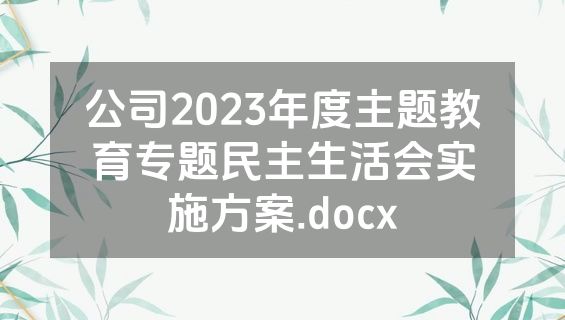 公司2023年度主题教育专题民主生活会实施方案.docx
