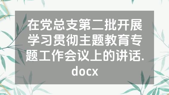 在党总支第二批开展学习贯彻主题教育专题工作会议上的讲话.docx