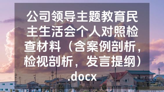公司领导主题教育民主生活会个人对照检查材料（含案例剖析，检视剖析，发言提纲）.docx