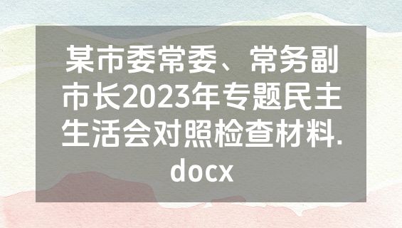 某市委常委、常务副市长2023年专题民主生活会对照检查材料.docx