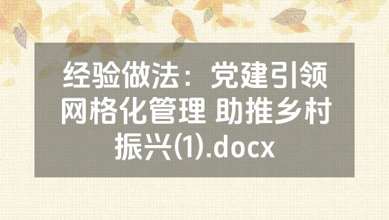经验做法：党建引领网格化管理 助推乡村振兴(1).docx