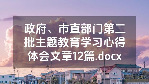 政府、市直部门第二批主题教育学习心得体会文章12篇.docx