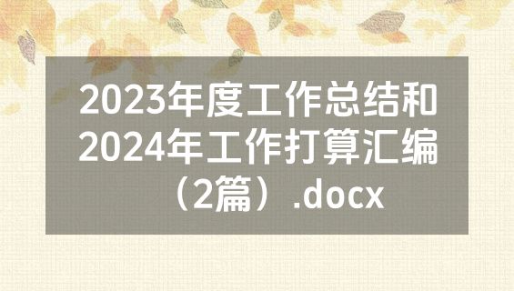 2023年度工作总结和2024年工作打算汇编（2篇）.docx