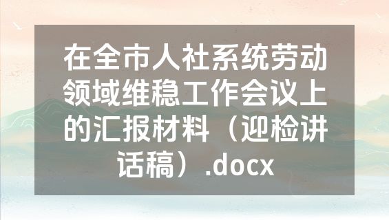在全市人社系统劳动领域维稳工作会议上的汇报材料（迎检讲话稿）.docx