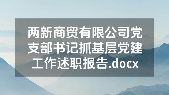 两新商贸有限公司党支部书记抓基层党建工作述职报告.docx