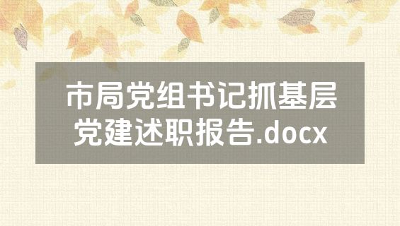 市局党组书记抓基层党建述职报告.docx