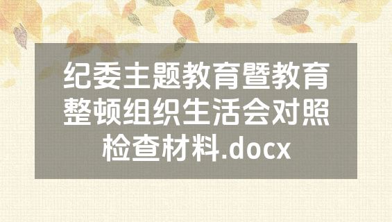 纪委主题教育暨教育整顿组织生活会对照检查材料.docx