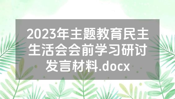 2023年主题教育民主生活会会前学习研讨发言材料.docx