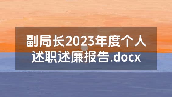 副局长2023年度个人述职述廉报告.docx