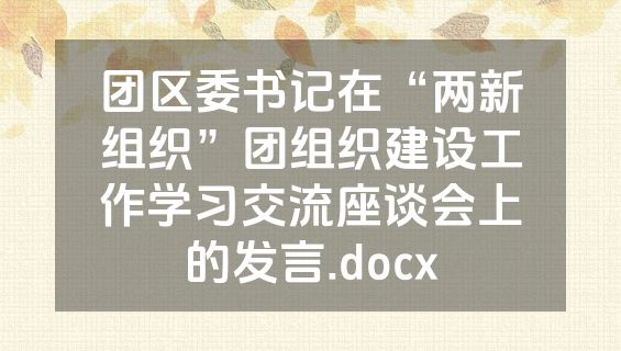 团区委书记在“两新组织”团组织建设工作学习交流座谈会上的发言.docx