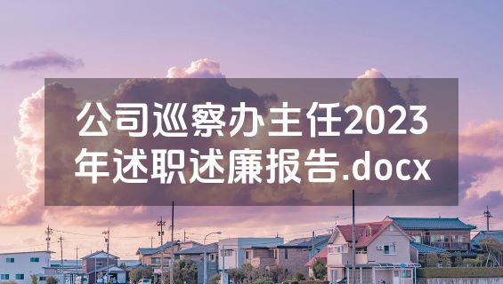 公司巡察办主任2023年述职述廉报告.docx